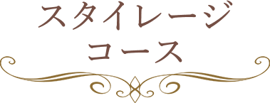 スタイレージコース
