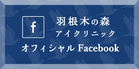 オフィシャルFacebook