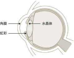 白内障の症状