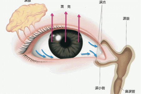 ドライアイ驚きの治療法